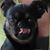 Maria Cardillo's profile image