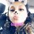 Elizabeth Lizzy Ochoa's profile image