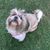 Antonio Cruz Mtz's profile image