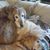 Valerie Lois's profile image