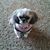 Becky Kuester's profile image