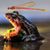 Donna Schneider's profile image