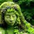 Ira Tozer's profile image