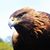 Kathy Tilley's profile image