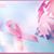 Sandie Vickers Thompson's profile image