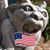John Hemmer's profile image