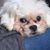 Gabby Goodson's profile image