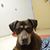Cheryl Pickel's profile image