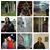 James Cotton's profile image