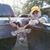 Tammy Thornton Fore's profile image