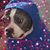 Rick Stach's profile image