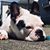 Christy Mitchell's profile image