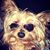 Odessa Wallace's profile image