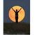 Pam Meyer's profile image