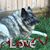 Betty Scelsi's profile image