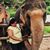 Amisha Jay Dalwadi's profile image