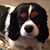 Kristi Roberson Mayes's profile image