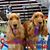 Pat Hoult Collins's profile image