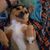 Marek Musil's profile image