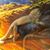 Maranda Chase's profile image