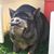 Kimberly Jo's profile image