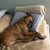 Lisa Appello-Cassella's profile image