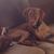 Mary Kuhlow's profile image