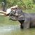 Tisha Gallanter's profile image