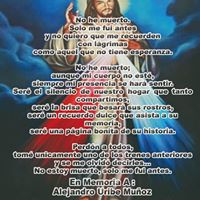 Brissa Uribe's profile image