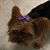Doris Rigby's profile image