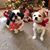 Peggy Bruner Anderson's profile image