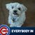 Bill Lipka's profile image