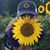 Megan Halligan Catino's profile image