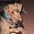 Linda Weinland Loy's profile image