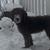 Riychelle Ann Marie's profile image