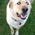 Shirley Gilman's profile image