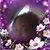 Loura Blackwell's profile image