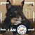 Jeri Michel Meier's profile image