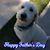 Sue Johnson's profile image