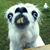 Juanito Esobedo's profile image