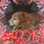 Betty Hawkins's profile image