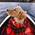 Barb Hinchik's profile image