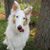 Dawn Rasor's profile image