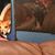 Laurie Hollenbeck's profile image