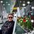 Christina H. Quintanilla-Torres's profile image
