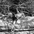 Jeff Russell's profile image