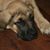 Colleen McHugh Aurand's profile image