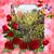 Lydia Cuevas Garcia's profile image