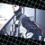 Peter Bodai's profile image