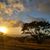 Selma Bennett's profile image